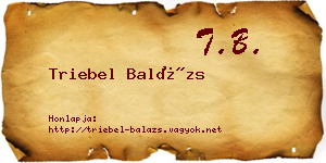 Triebel Balázs névjegykártya